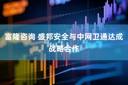 富隆咨询 盛邦安全与中网卫通达成战略合作