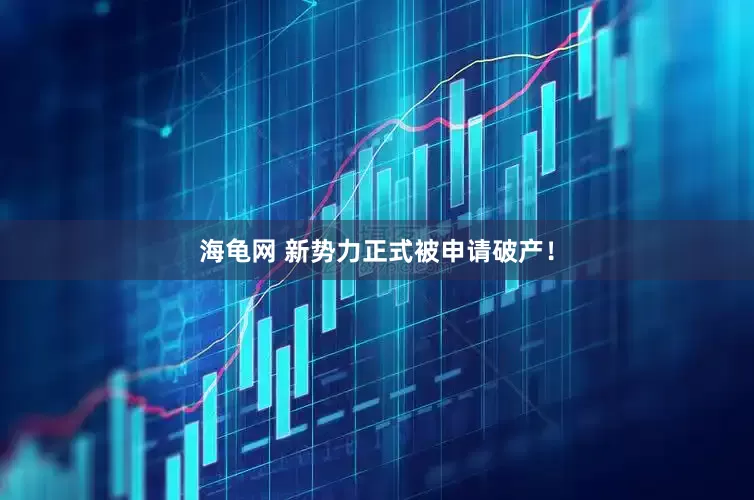海龟网 新势力正式被申请破产！