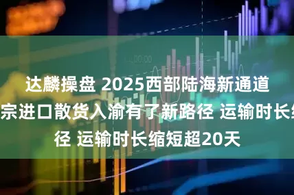 达麟操盘 2025西部陆海新通道加速跑｜大宗进口散货入渝有了新路径 运输时长缩短超20天