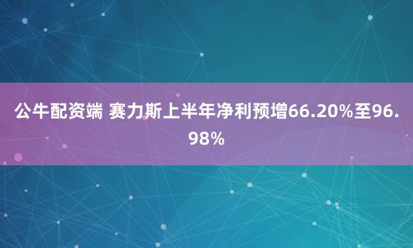 公牛配资端 赛力斯上半年净利预增66.20%至96.98%