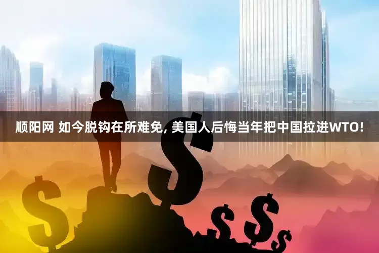 顺阳网 如今脱钩在所难免, 美国人后悔当年把中国拉进WTO!